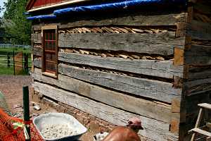 old log cabin with large gaps being filled during restoration