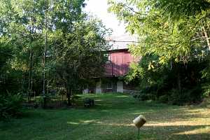 a tree covered path to an old barn