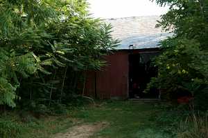 doorway to an old barn