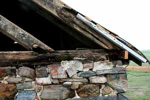 rotting wood of old barn roof