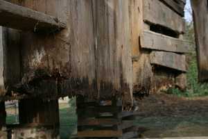 close-up of rotting wood on an old barn