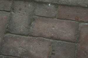 a closeup of a brick walkway