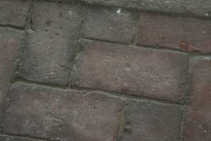a closeup of a brick walkway