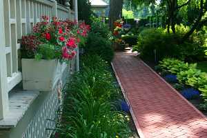 a clean brick walkway running between two gardens in the front of a home