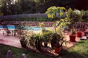 a brick patio around a pool area with several planters and patio furniture scattered around it