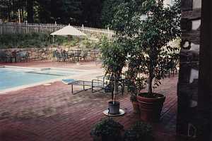 a brick patio around a pool area with several planters and patio furniture scattered around it