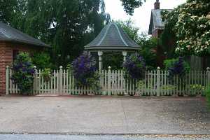 a gazebo behind a fence decorated with purple clematis planters