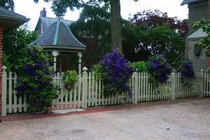 a gazebo behind a fence decorated with purple clematis planters