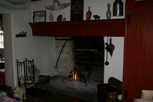 a fire in a stone fireplace. a small dog looks to the left