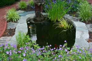 a fish pond with a small boy statue on the edge and some water plants and fish in it