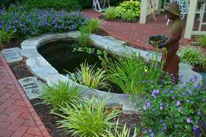 a fish pond surrounded by shrubs