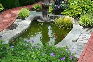 a fish pond with a small boy statue on the edge and some water plants and fish in it