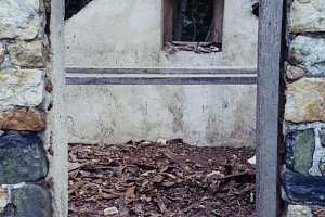 Looking in the door of an old spring house with no roof or windows