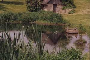 Looking over a pond at an old stone spring house