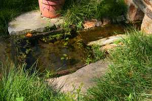 Water running out of a spring house