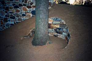 a stone retaining wall on a dirt hill keeping an open area for a tree trunk