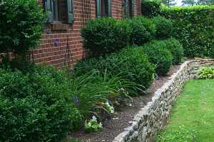 topiaries in a planting bed surrounded by a stone retaining wall