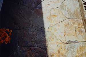 overhead view of a stone patio with 2 orange flowers resting on it